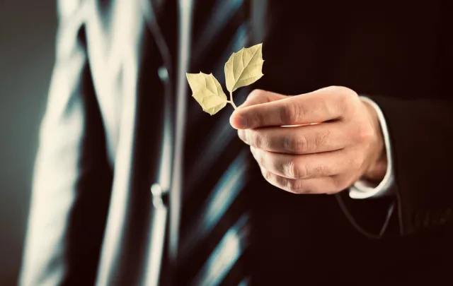 Going Green with Contract Management Software