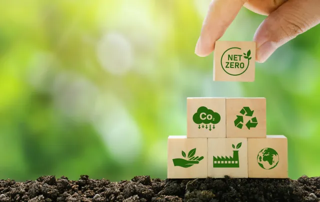Why is Sustainable Procurement Important?