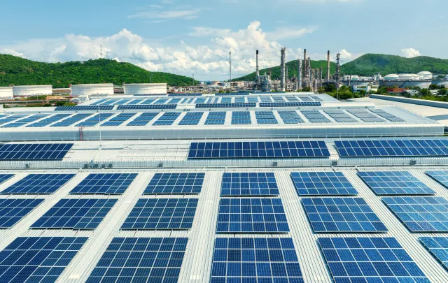 Why Choosing Sustainable Suppliers Boosts Organizational Growth