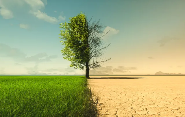 The Vital Role of Sustainable Sourcing in the Climate Change Era