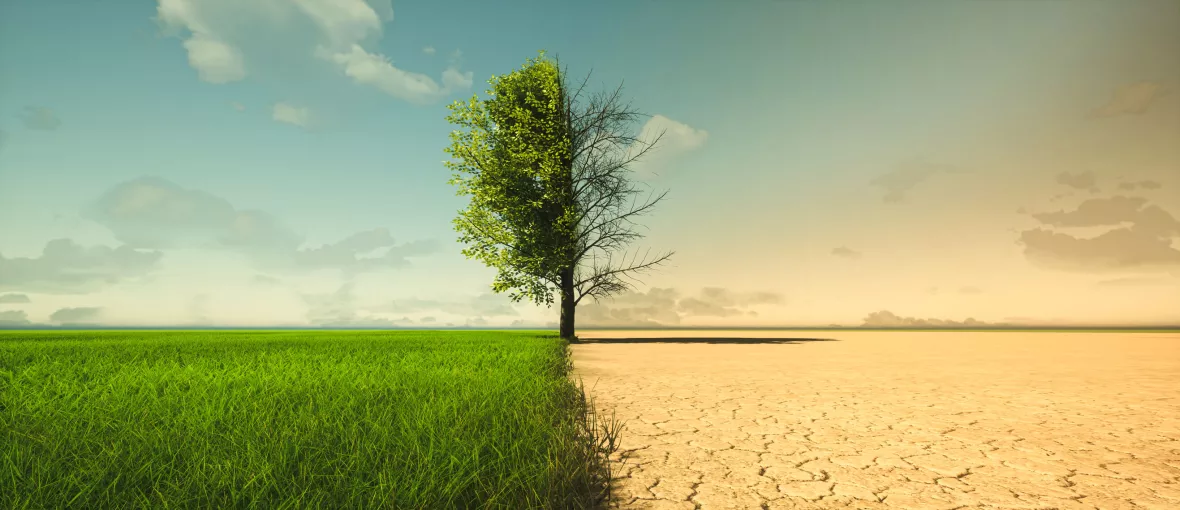 The Vital Role of Sustainable Sourcing in the Climate Change Era